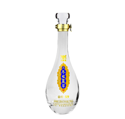 ʦ����-��ݾ�ƿ[����]